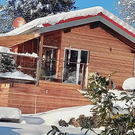 Ferienhaus Alb Mit Naturschwimmteich